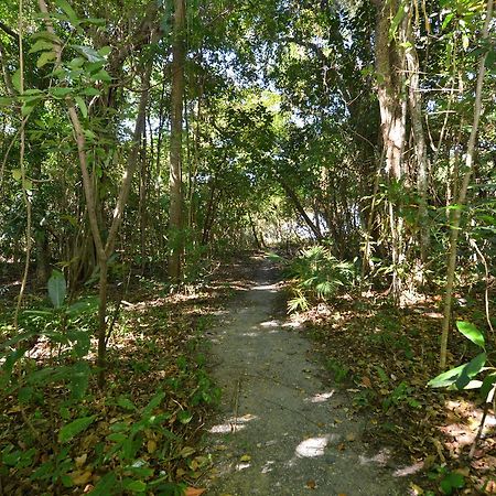 Villa Frangipani Port Douglas Extérieur photo