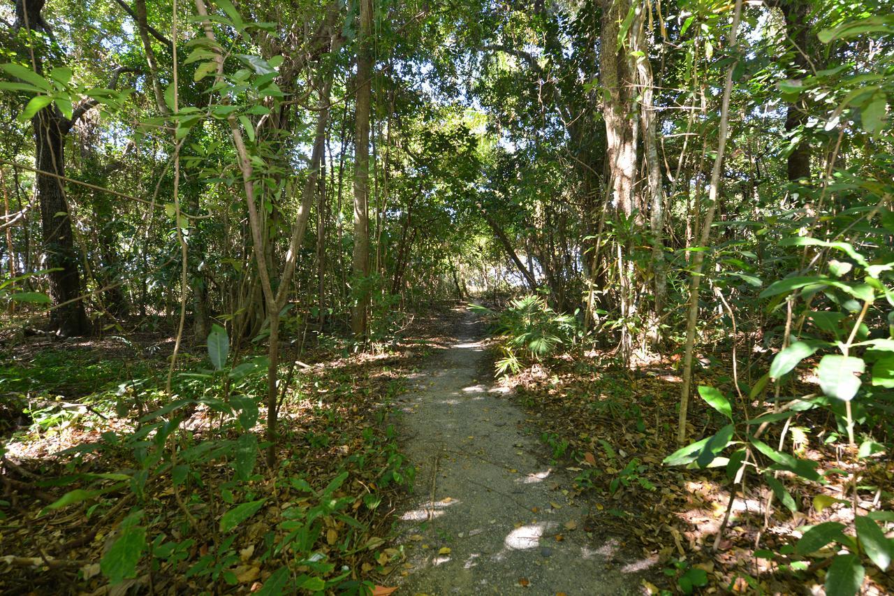 Villa Frangipani Port Douglas Extérieur photo